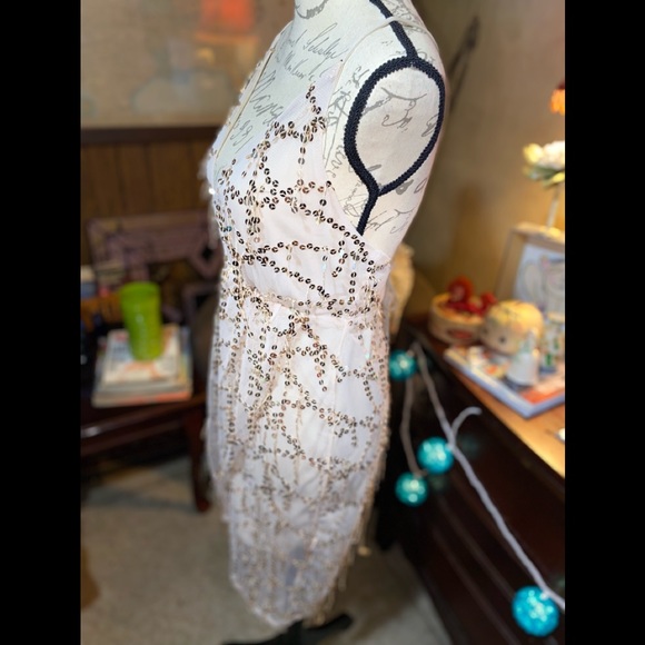 NWOT Nude colored sequins covers dress. Beautiful. The sequins dangle throughout - Picture 6 of 10